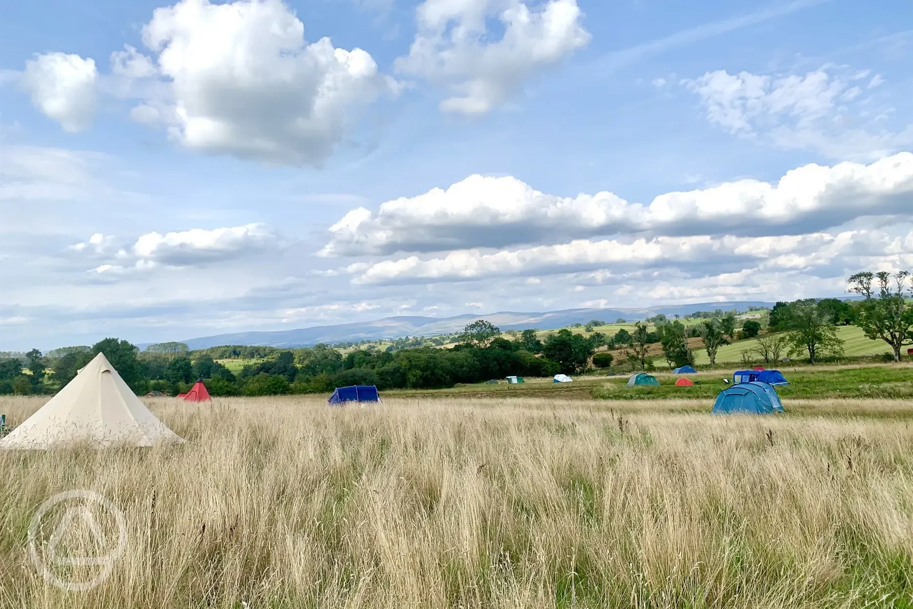 Non electric grass tent pitches