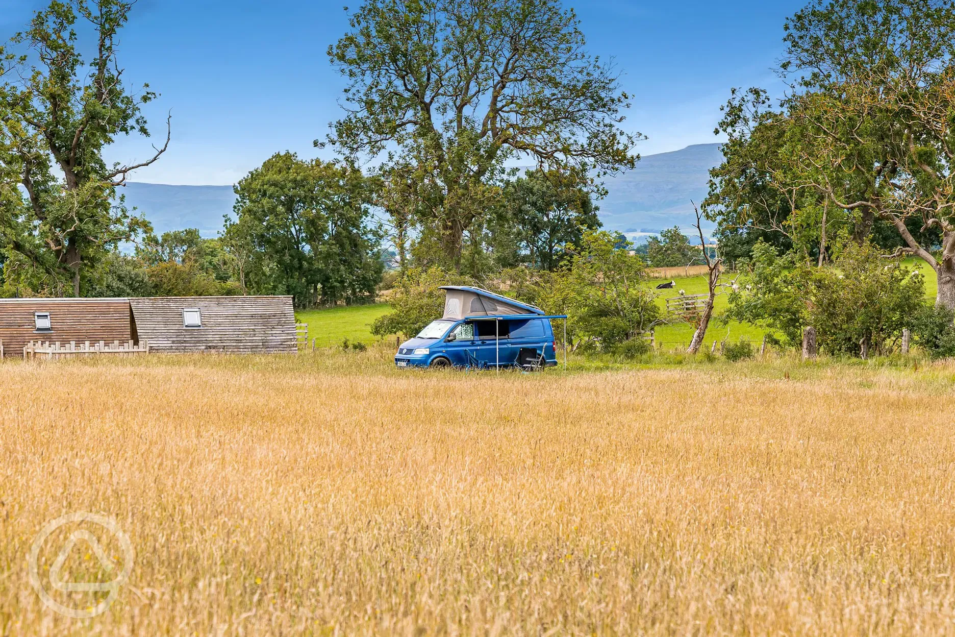 Non electric grass campervan pitches in a wild meadow