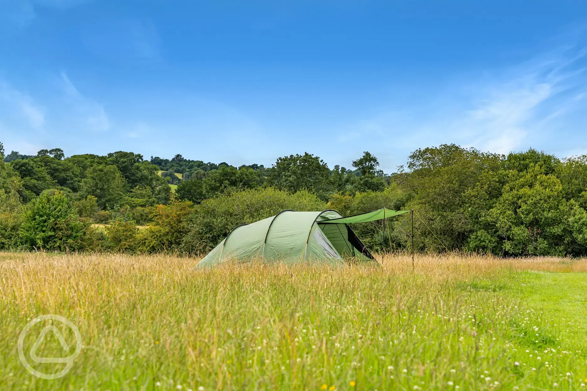 Wild meadow grass pitches