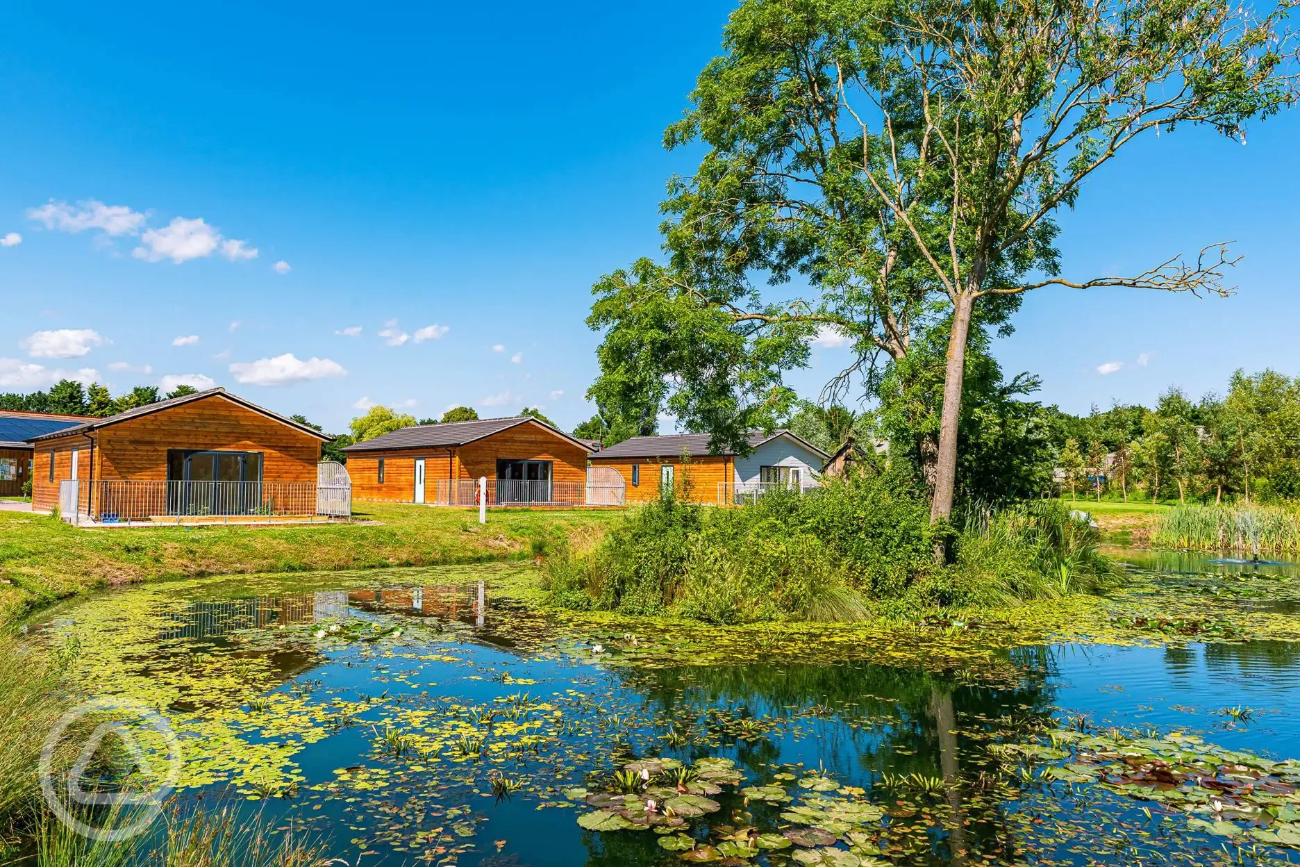 Luxury log cabins overlooking the lake