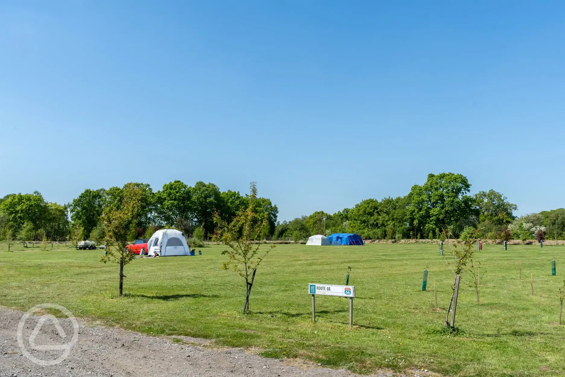 Electric grass tent pitches