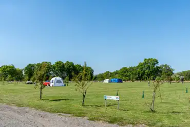 Electric grass tent pitches at Flaxton Meadows