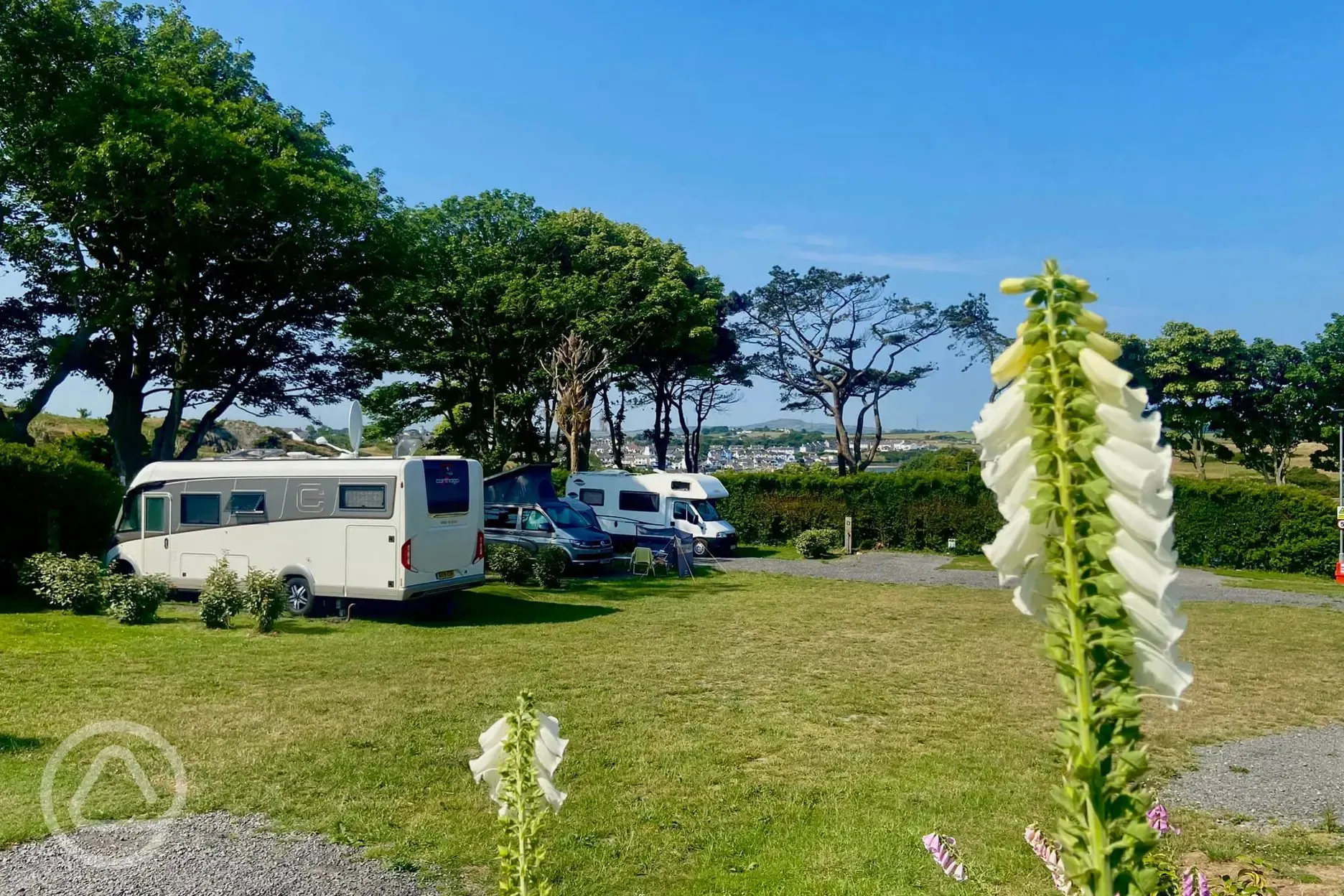 Fully serviced hardstanding pitches with 10 amp electric, water and grey waste