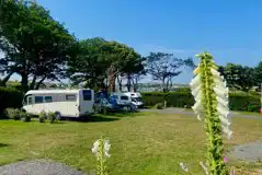 Fully serviced hardstanding pitches with 10 amp electric, water and grey waste