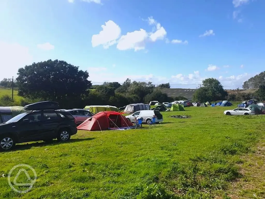 Tents on grass pitches with space for parking