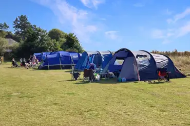 Grass tent pitches