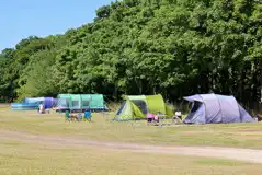 Grass 5m x 7.5m pitches with 10 amp electric hook ups