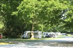 Hardstanding touring pitches tucked under the shade of trees