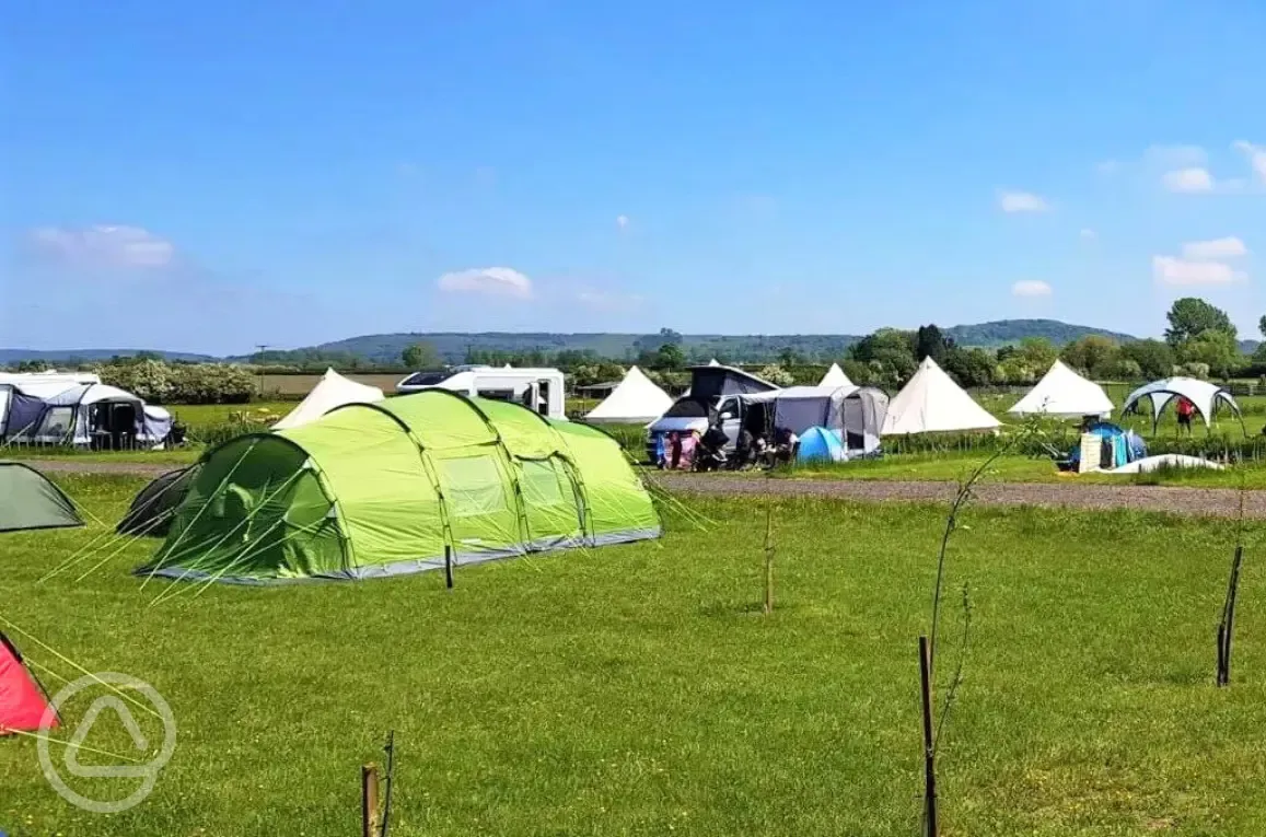 Non electric tent pitches - Fallow Field