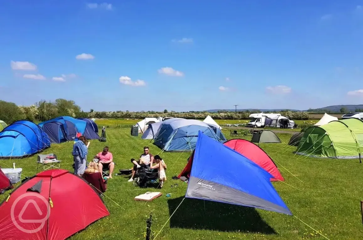 Non electric tent pitches - The Old Apiary Field
