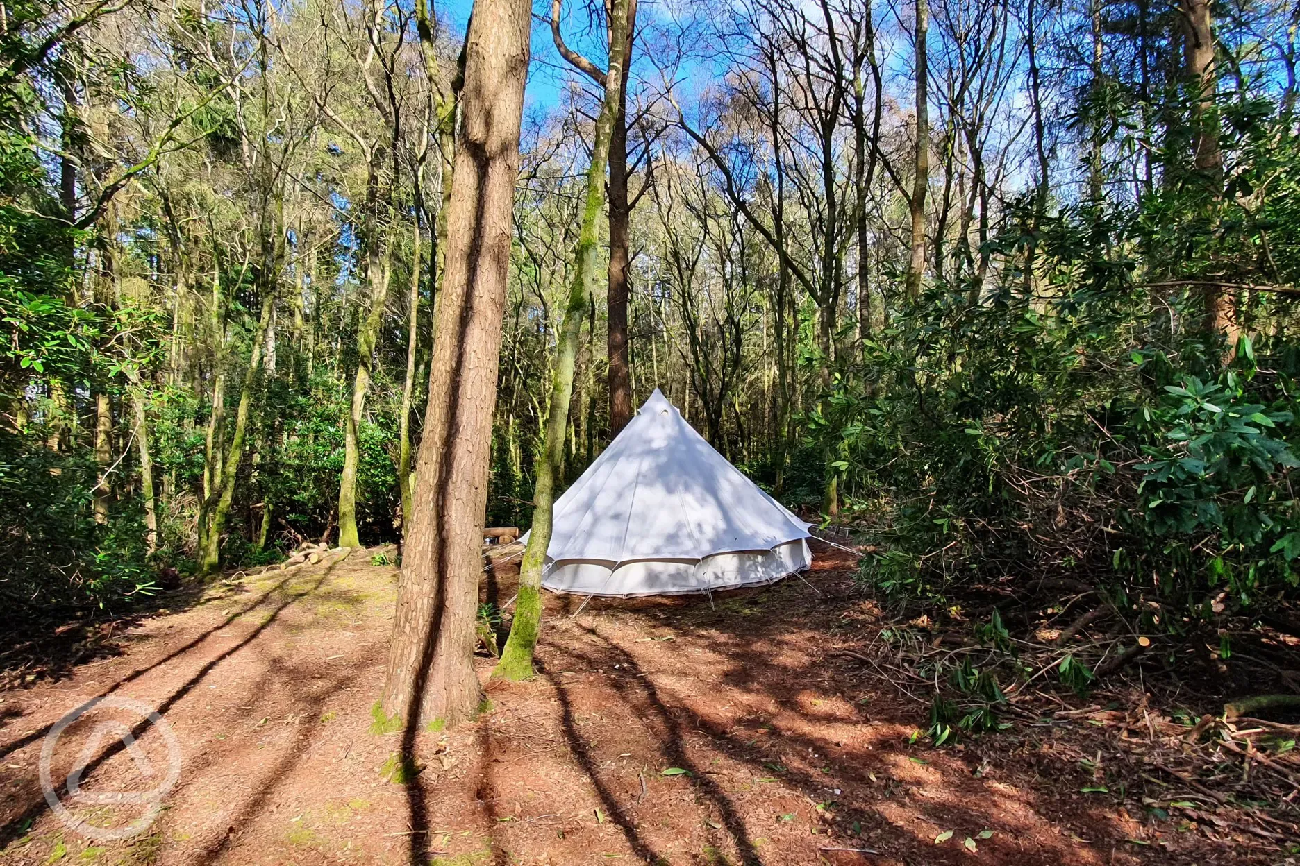 Wonderful wild camping in your own site