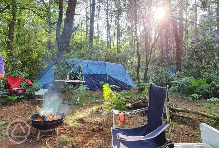 Craftsman Pitch - woodland camping