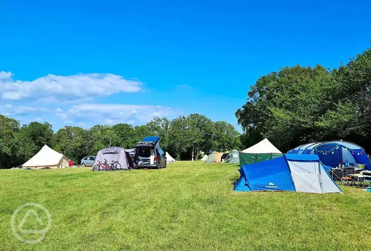 Non electric grass pitches