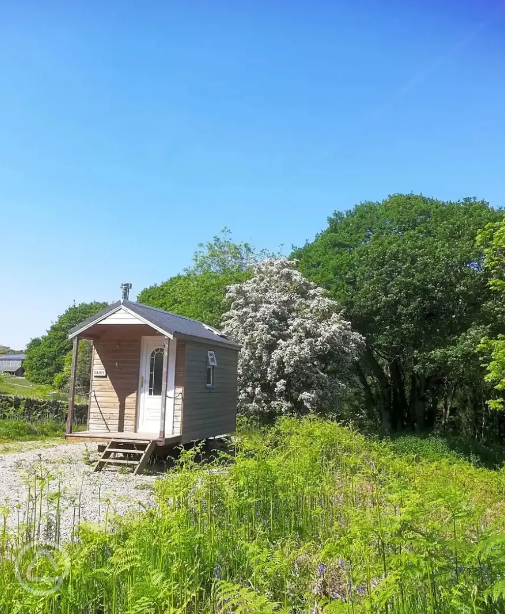 Daisy glamping cabin