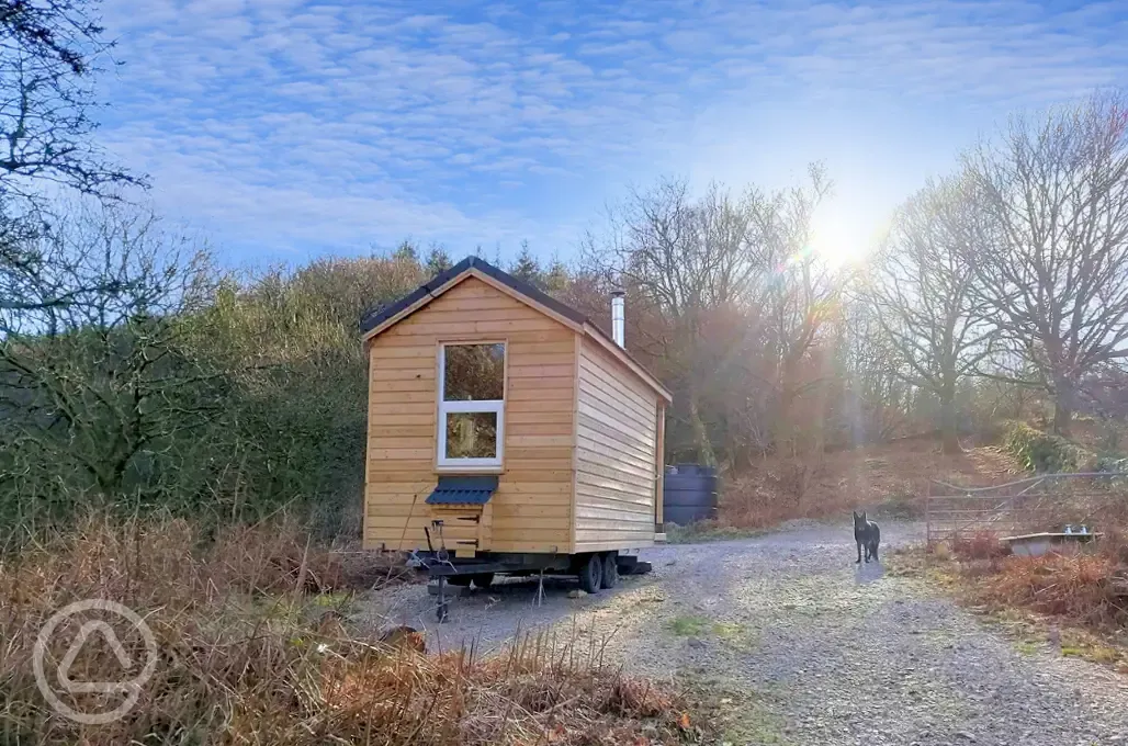 Daisy glamping cabin