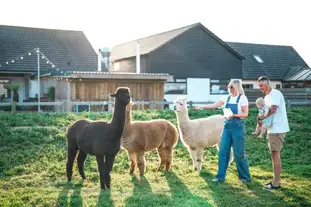 Macdonald's Farm, Padstow, Cornwall