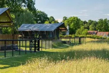 Safari tents