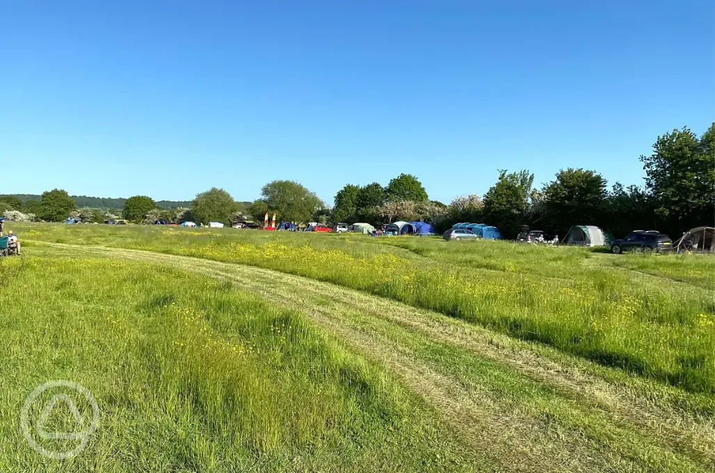 Non electric grass tent pitches 