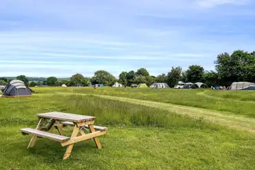 Non electric grass tent pitches 