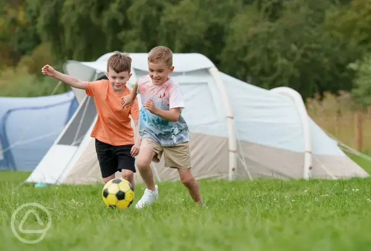 Camping pitches