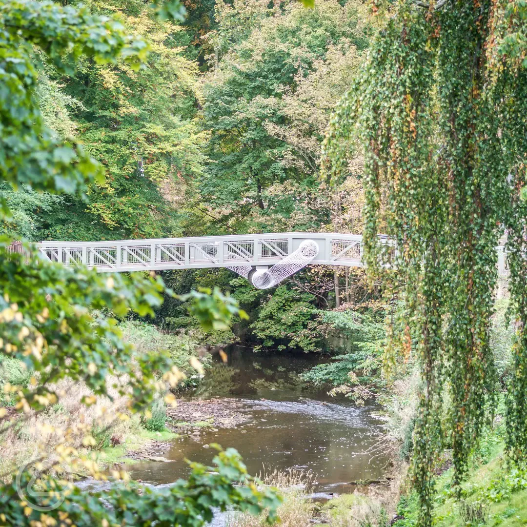 Bridge at Dalkeith Country Park