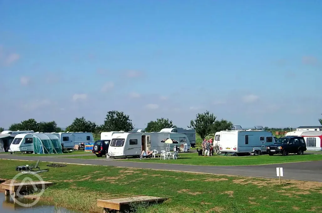 Electric grass tent and touring pitches (10 amp electric hook up)