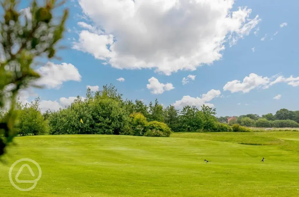 Onsite golf