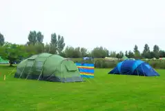 Non electric grass tent pitches Non electric grass tent pitches