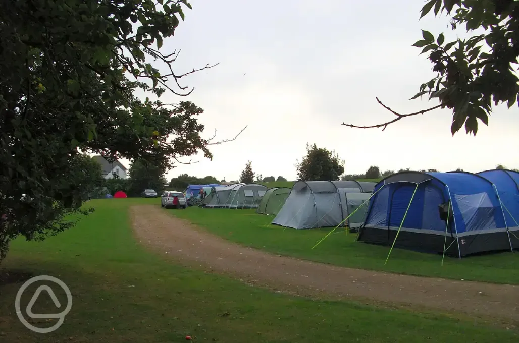 Non electric grass tent pitches
