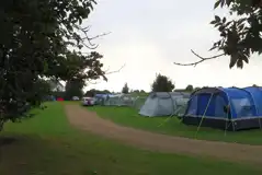 Non electric grass tent pitches Non electric grass tent pitches