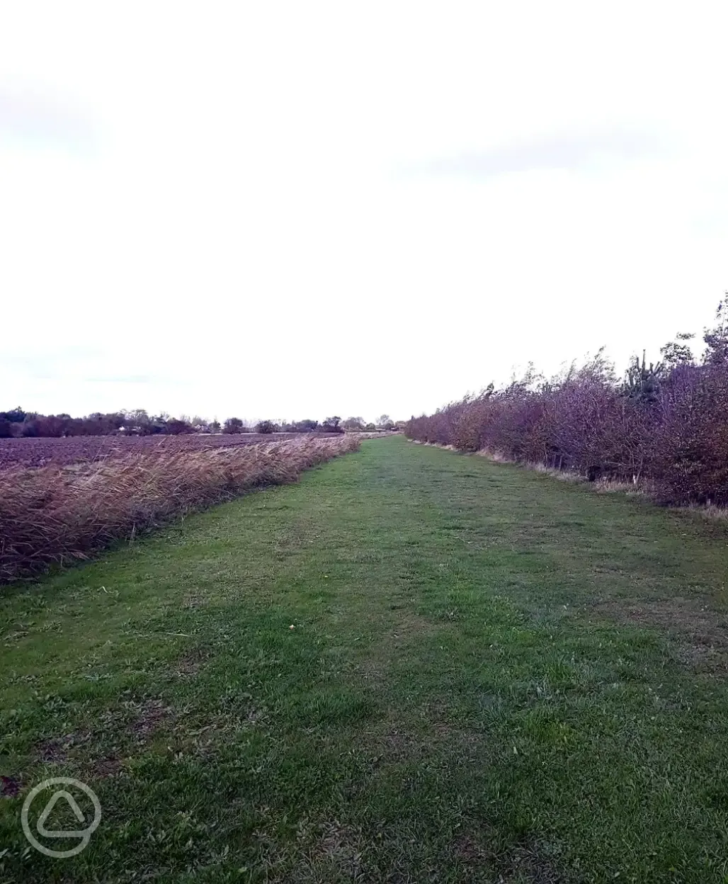 Dog walk area