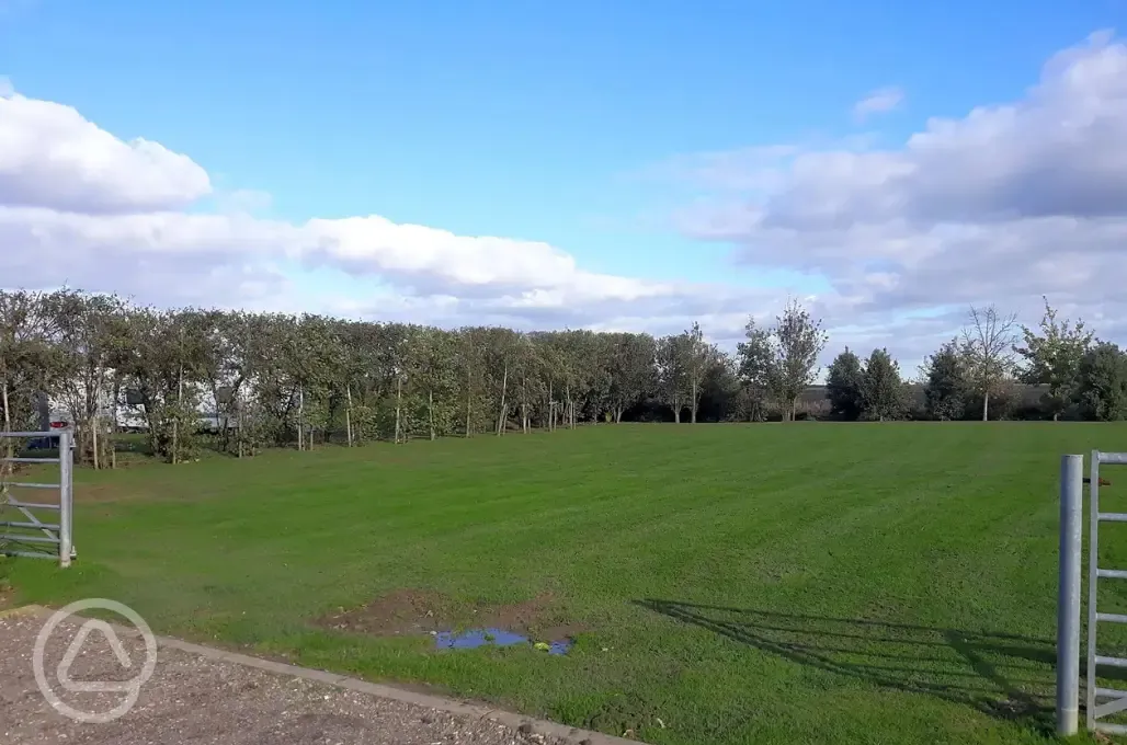 Electric grass pitches