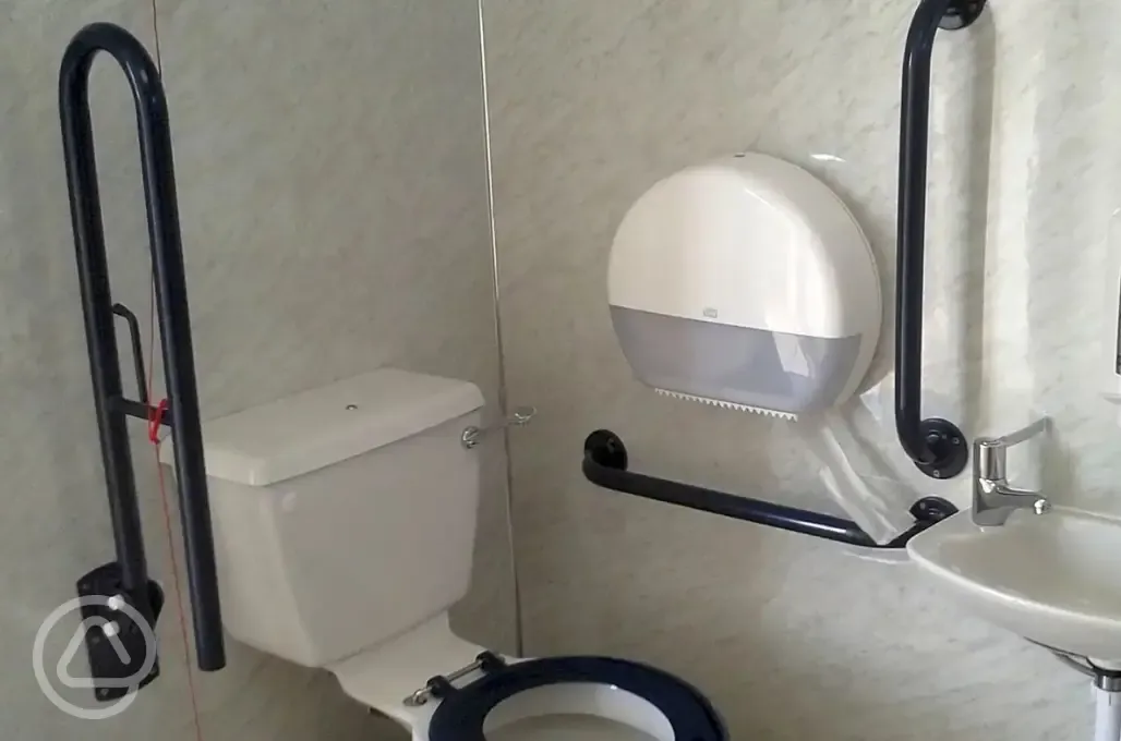 Accessible toilets