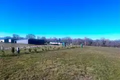 Electric grass tent pitches with distant views of the facility block