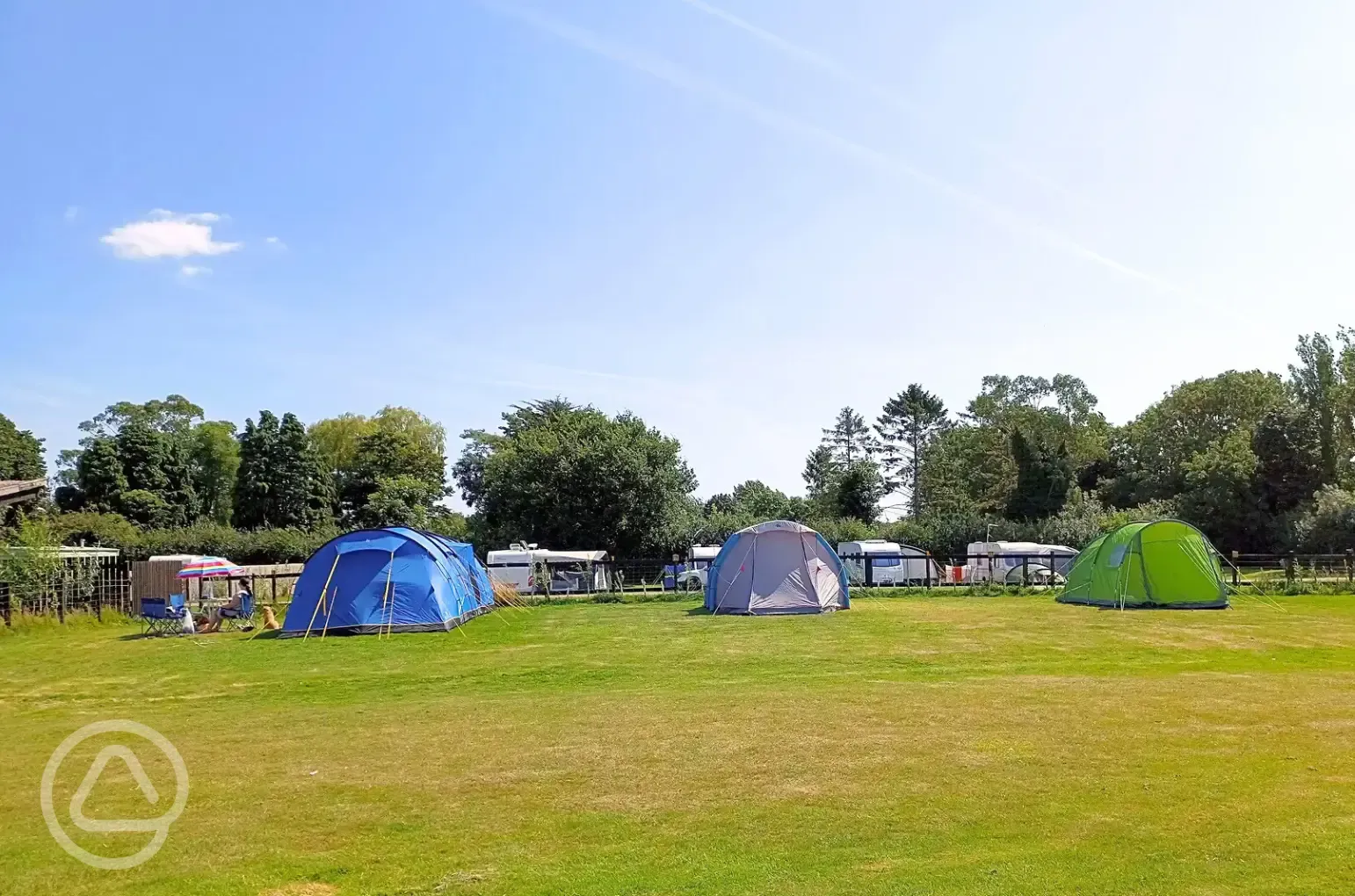 Electric grass tent pitches