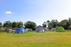 Electric grass tent pitches Electric grass tent pitches