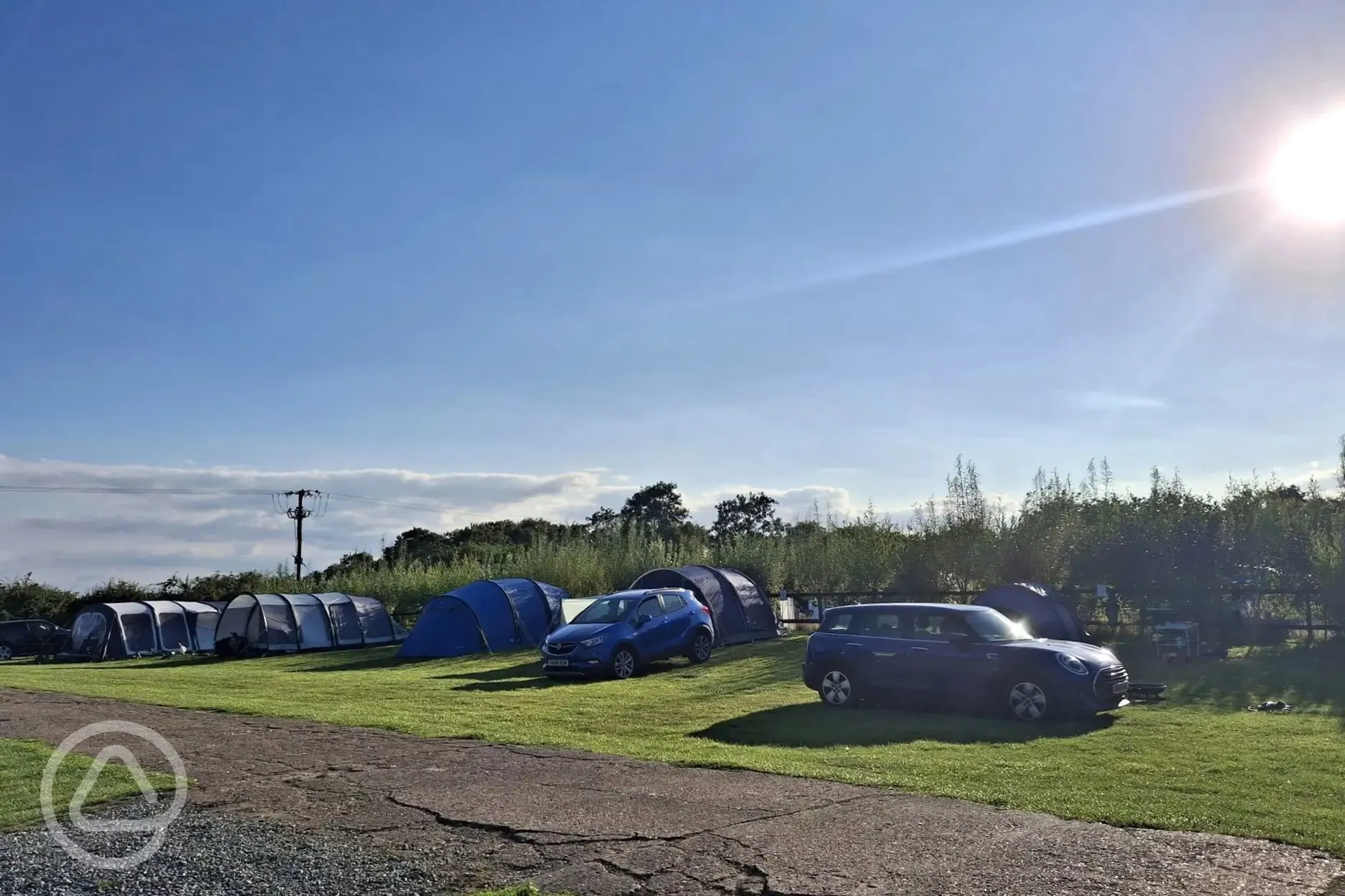 Electric grass tent pitches