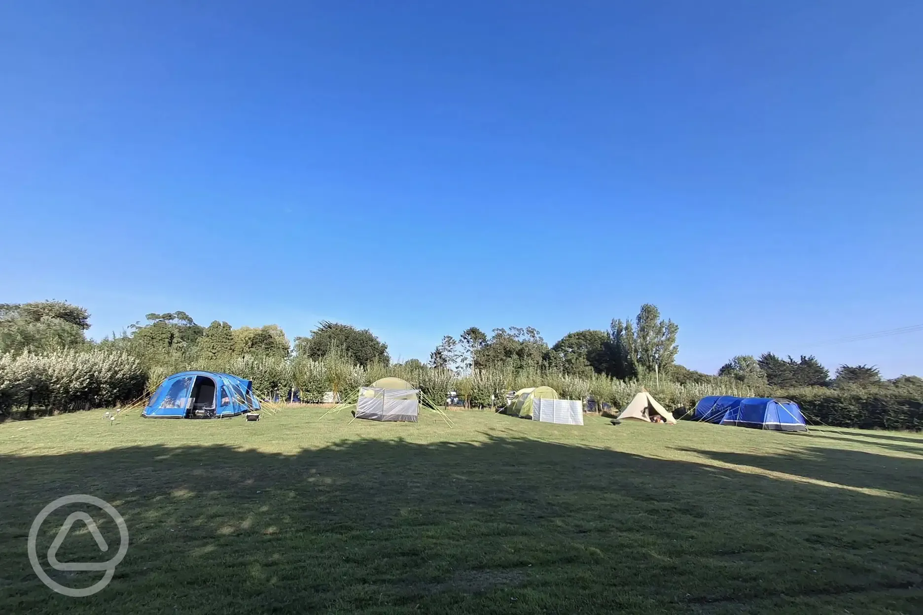 Electric grass tent pitches