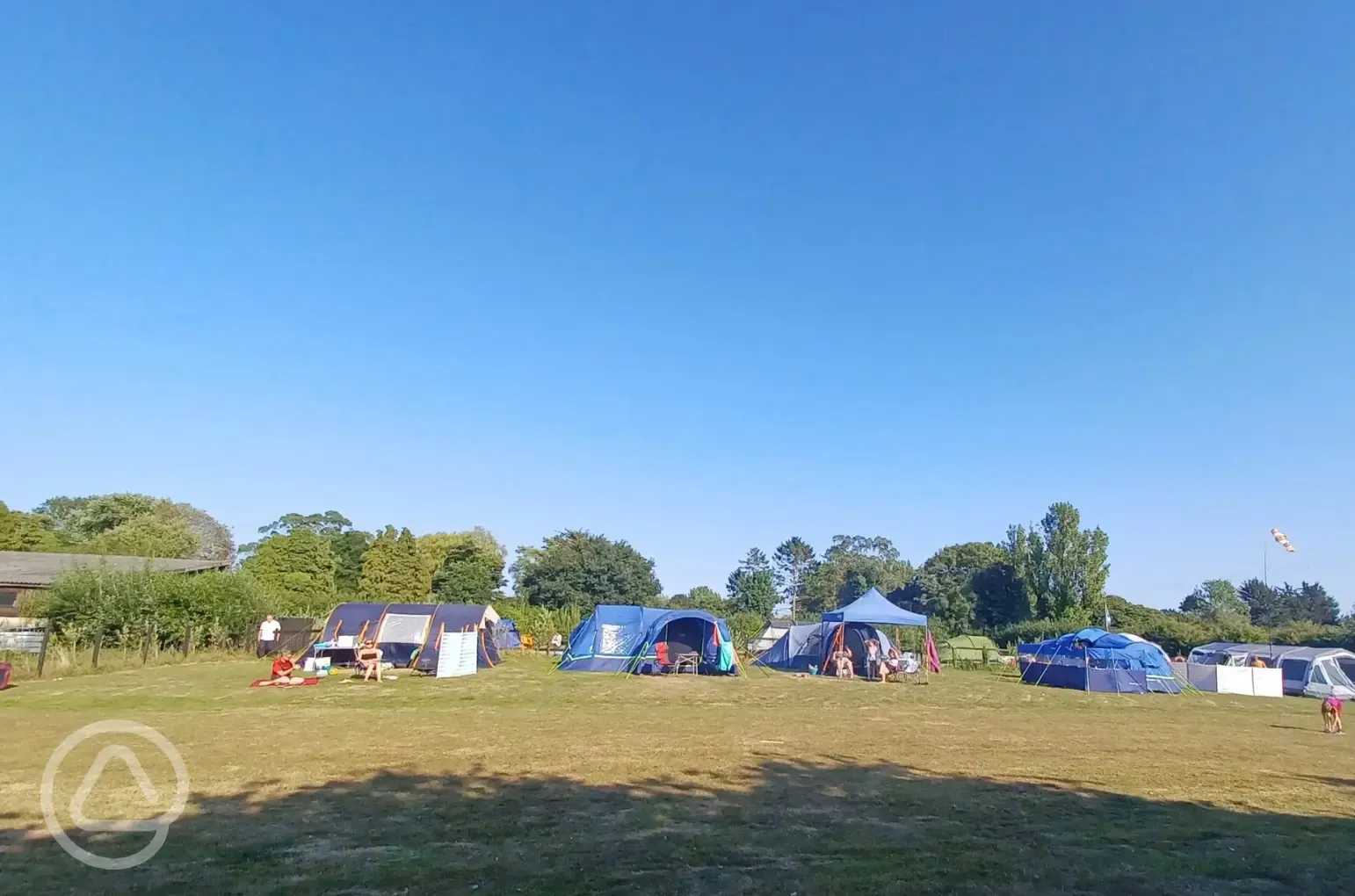 Electric grass tent pitches