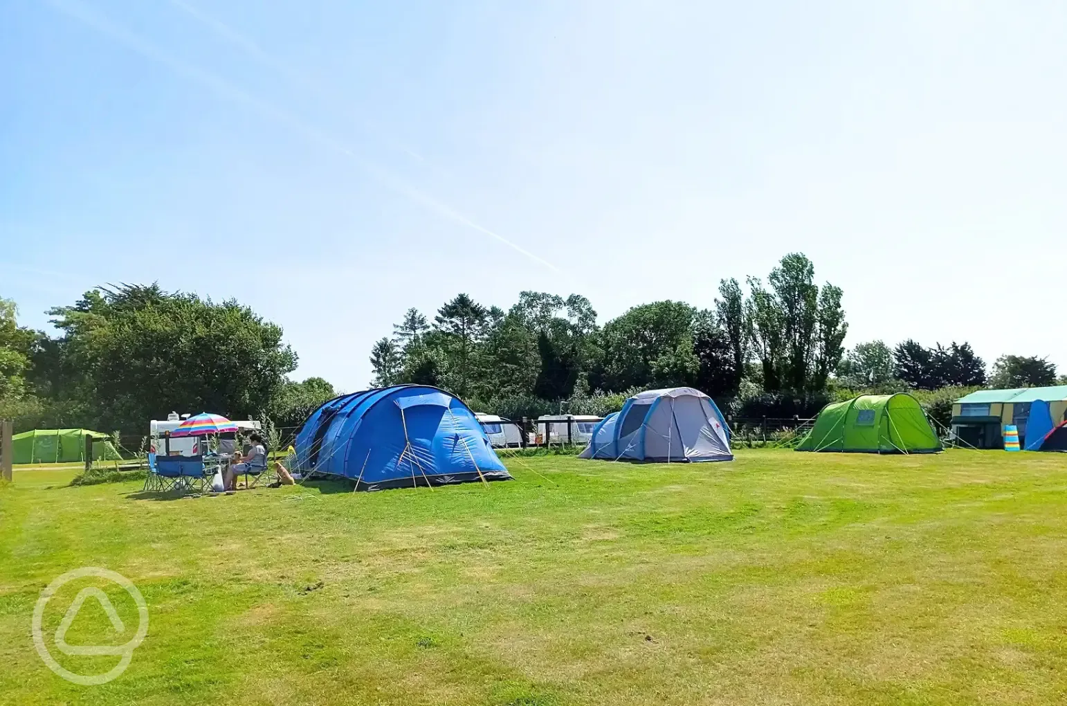 Electric grass tent pitches