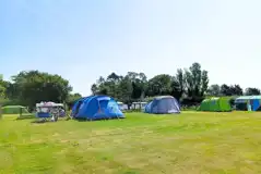 Electric grass tent pitches (8m x 12m)