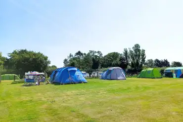 Electric grass tent pitches