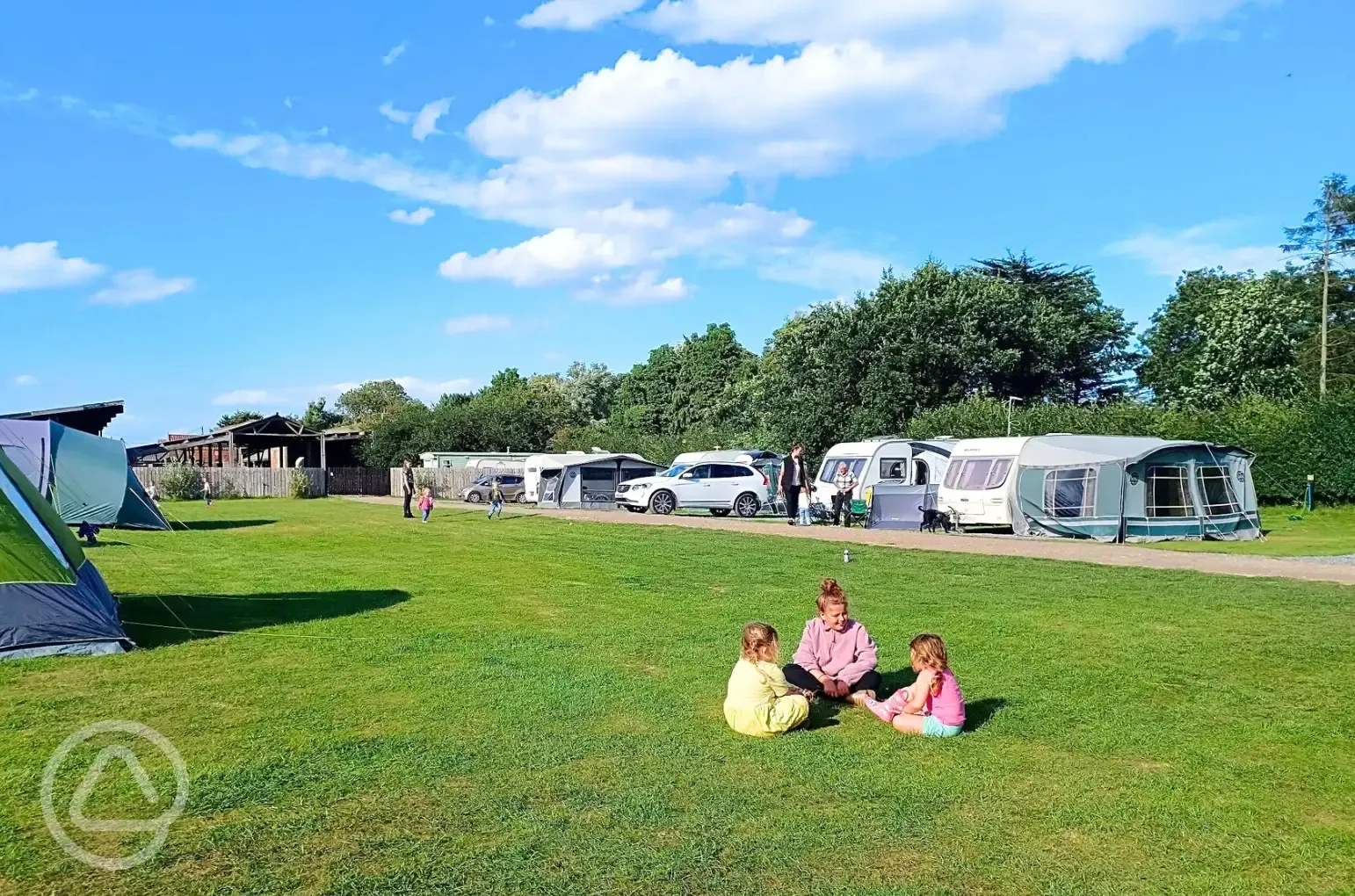 Electric grass tent pitches