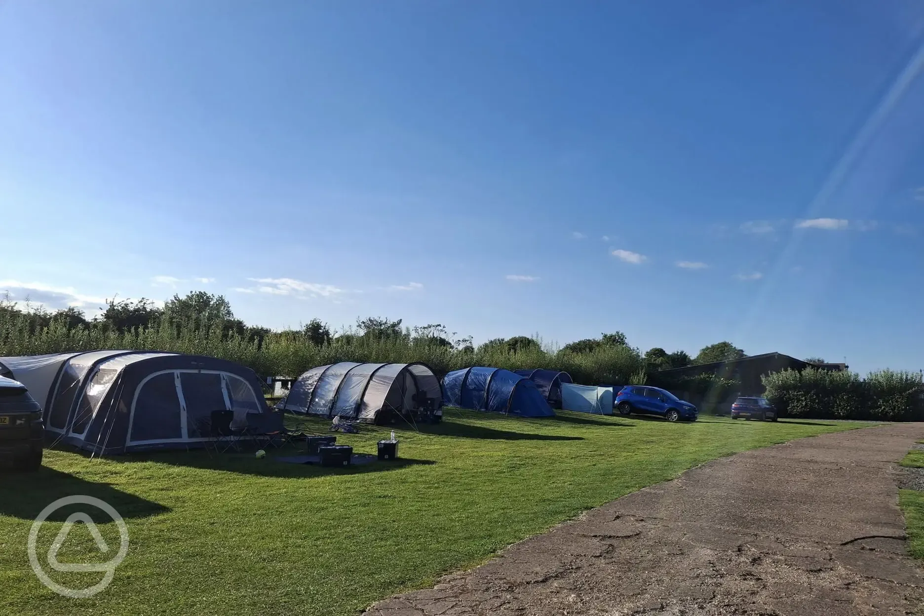 Electric grass tent pitches