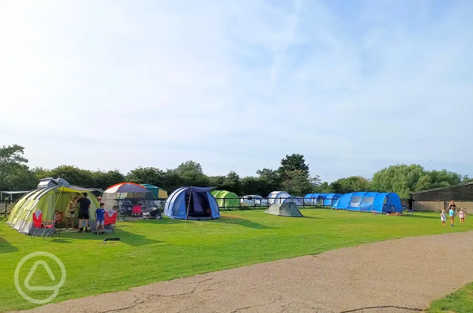 Electric grass tent pitches