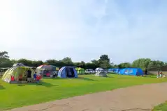 Electric grass tent pitches Electric grass tent pitches