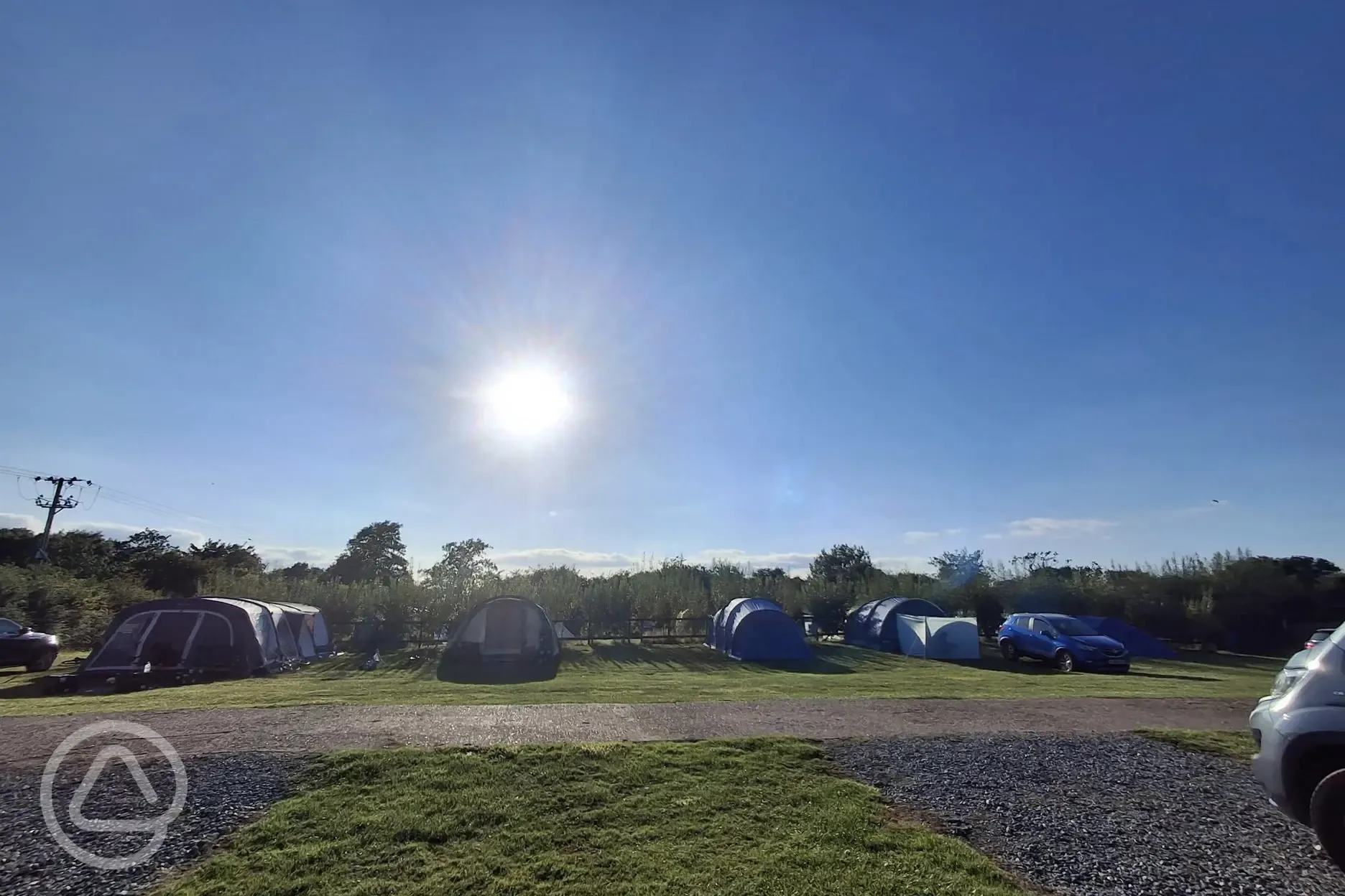 Electric grass tent pitches