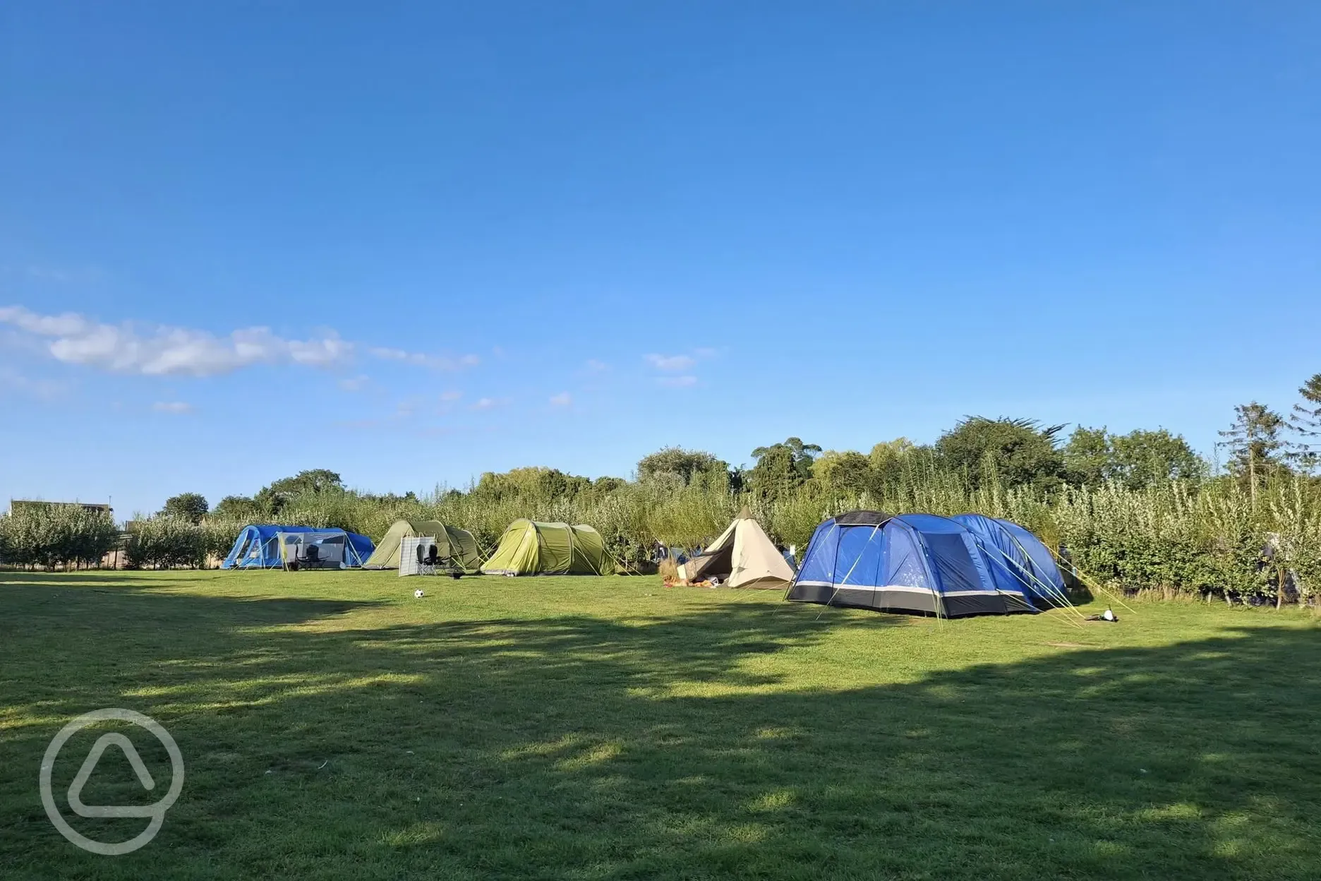 Electric grass tent pitches