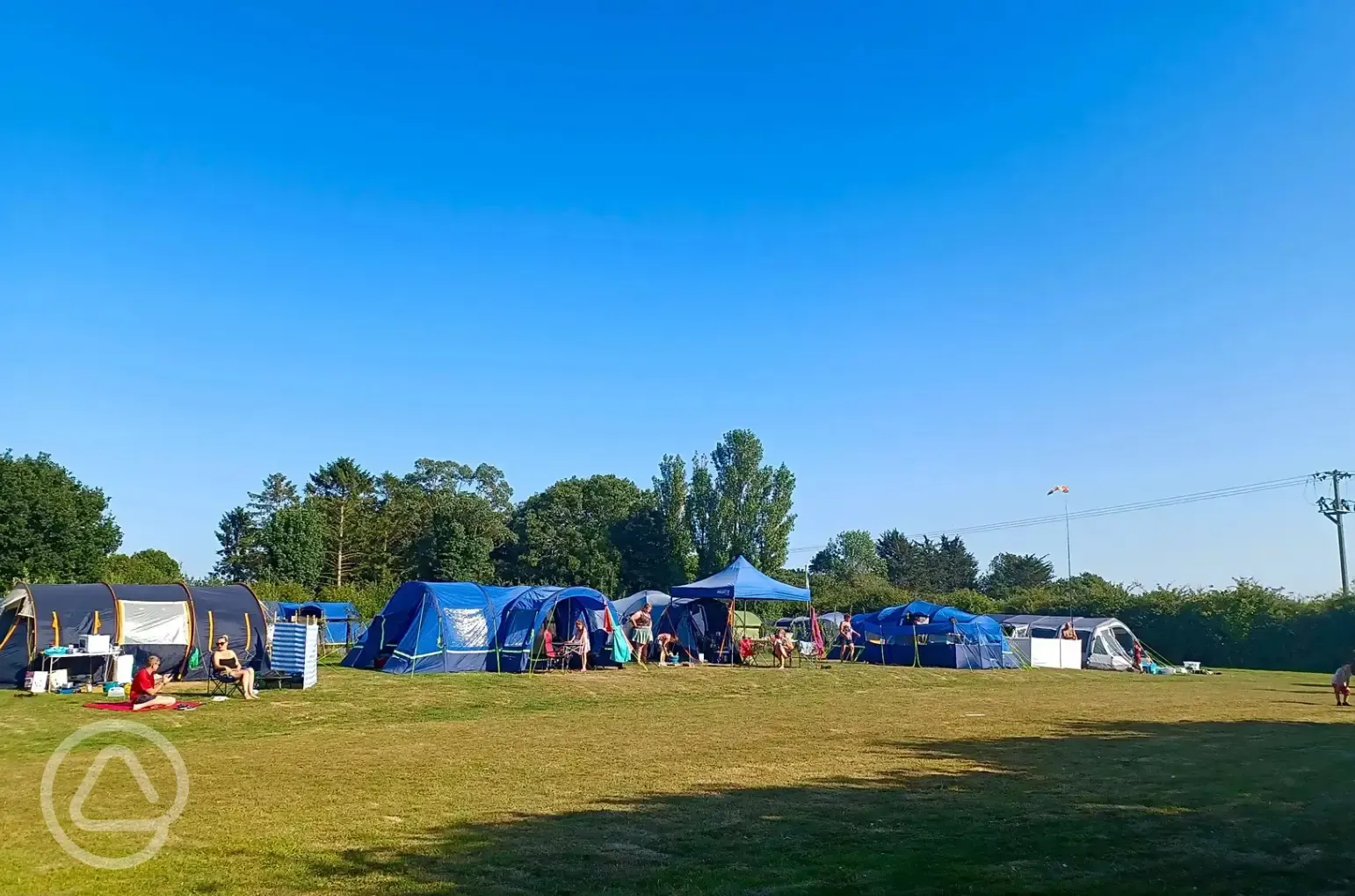 Electric grass tent pitches
