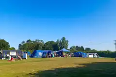 Electric grass tent pitches Electric grass tent pitches